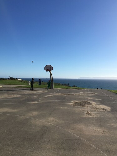 Peaceful and Playful by the Pacific Ocean