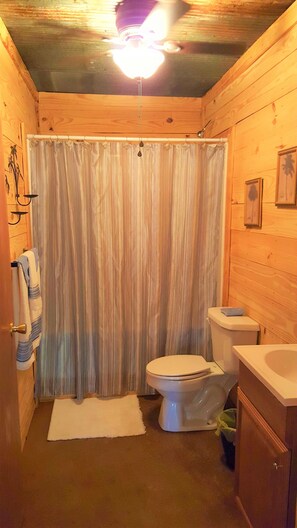 Combined shower/tub, hair dryer, towels, toilet paper - Peaceful family retreat (Addison)
