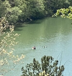 Botón de imagen sin clasificar, 5 de 39