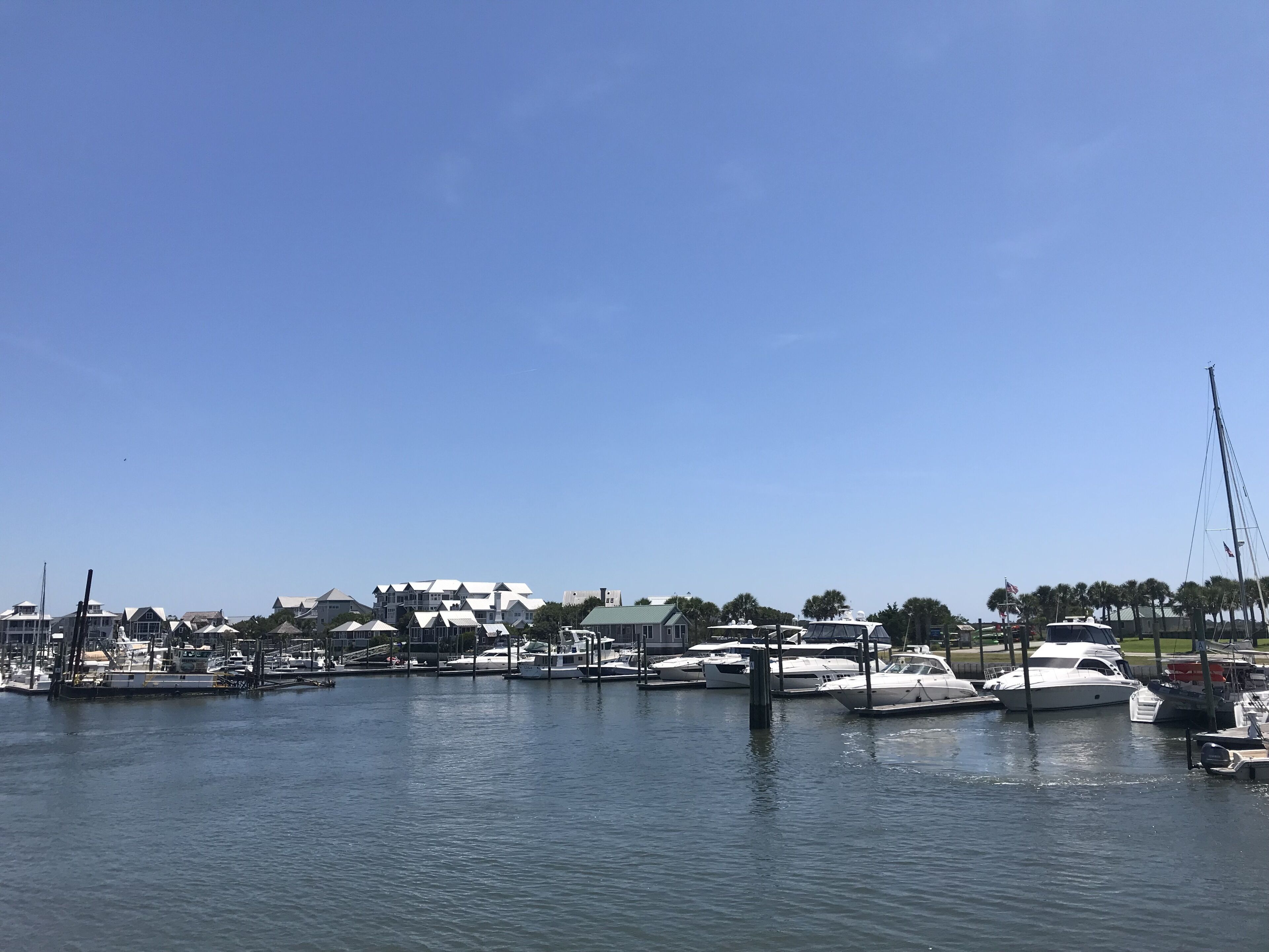 A marina with several yachts docked, a clear sky, and buildings in the background.