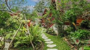 A lush garden with a stone pathway leading to a traditional house with a tiled roof. - The Tukad Gepuh Cottage (Penida Island)