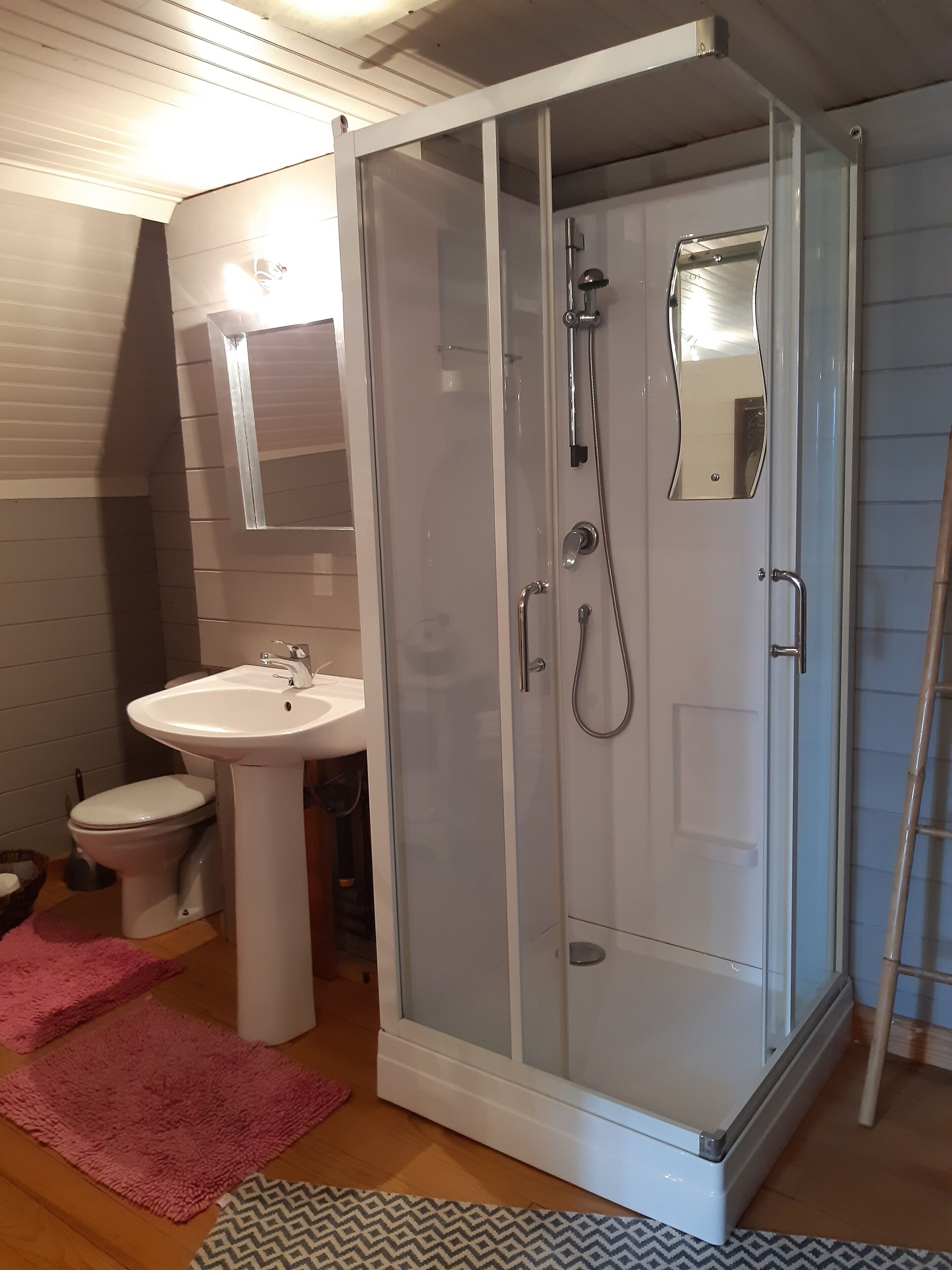 A bathroom with a glass-enclosed shower, a pedestal sink, and a toilet.