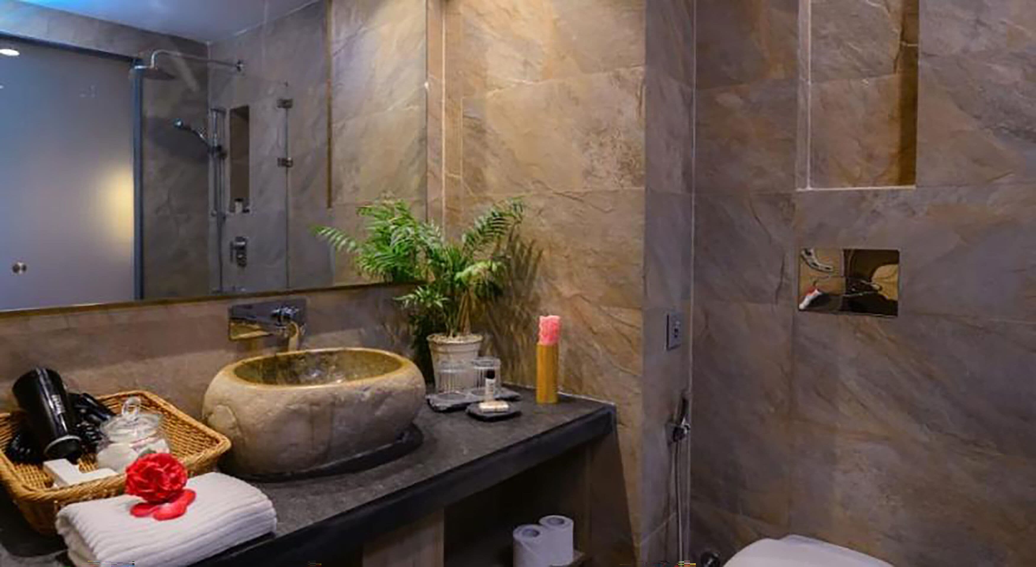 A modern bathroom with a large stone sink, a mirror, a shower, and a small plant on the vanity.