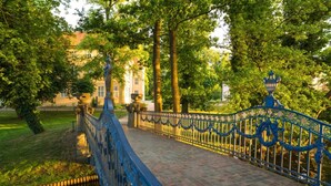 A bridge with ornate blue railings, a paved walkway, and a body of water on one side. - Bootshaus in Mirow mit überdachter Terrasse (Mirow)