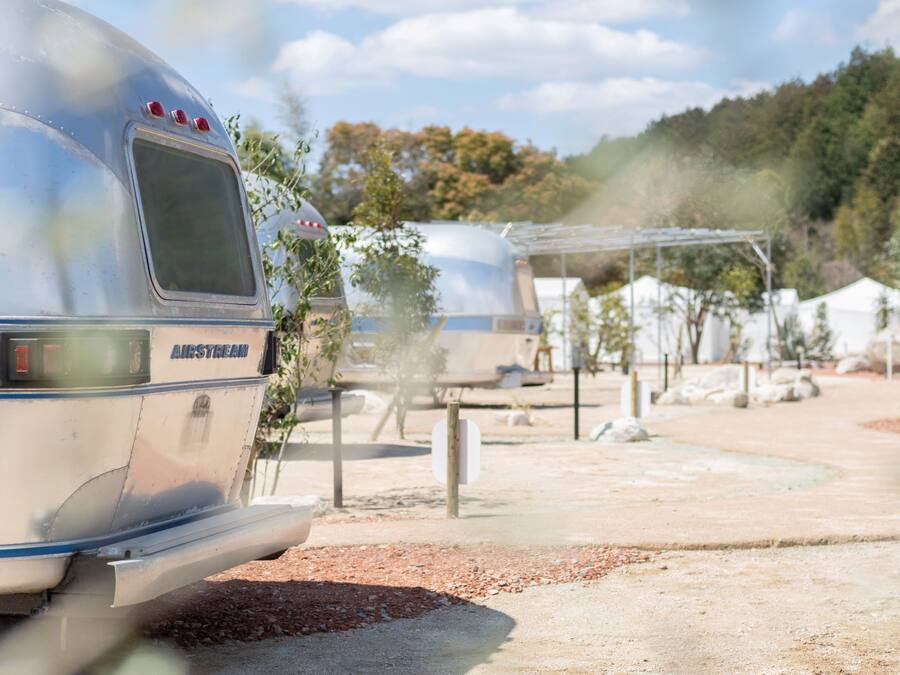 A row of vintage camper vans parked in a campsite with a dirt ground and trees in the background.