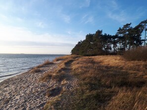 Beach nearby, sun-loungers - Villa beach robber Rügen (Zudar)