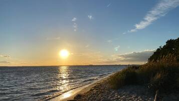 Playa en los alrededores y camastros