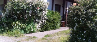 Vacation apartment in the Odenwald