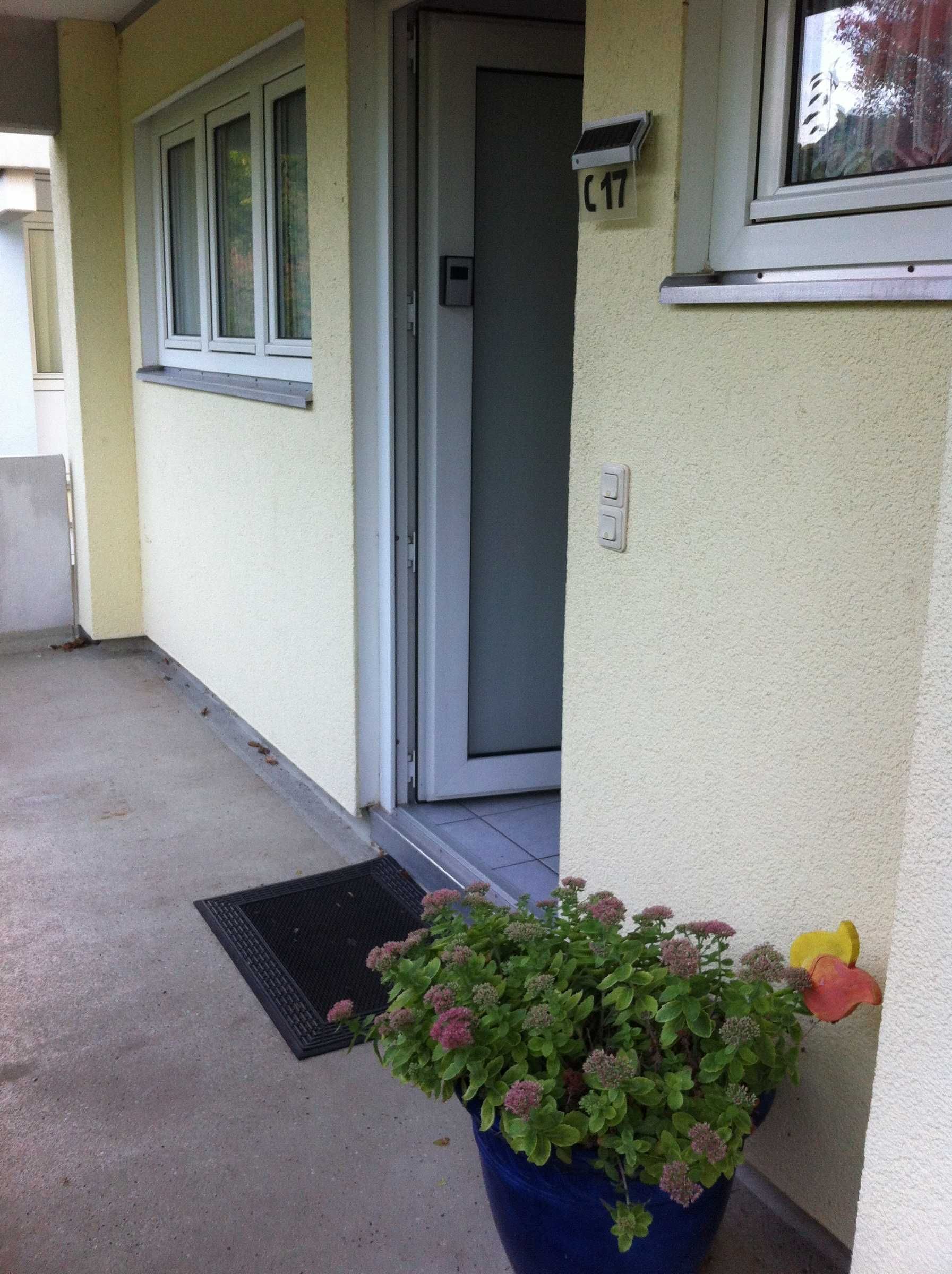 En bygningseingang med dør, vindue og en potte med blomster.