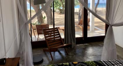 Liquid Dive Adventures