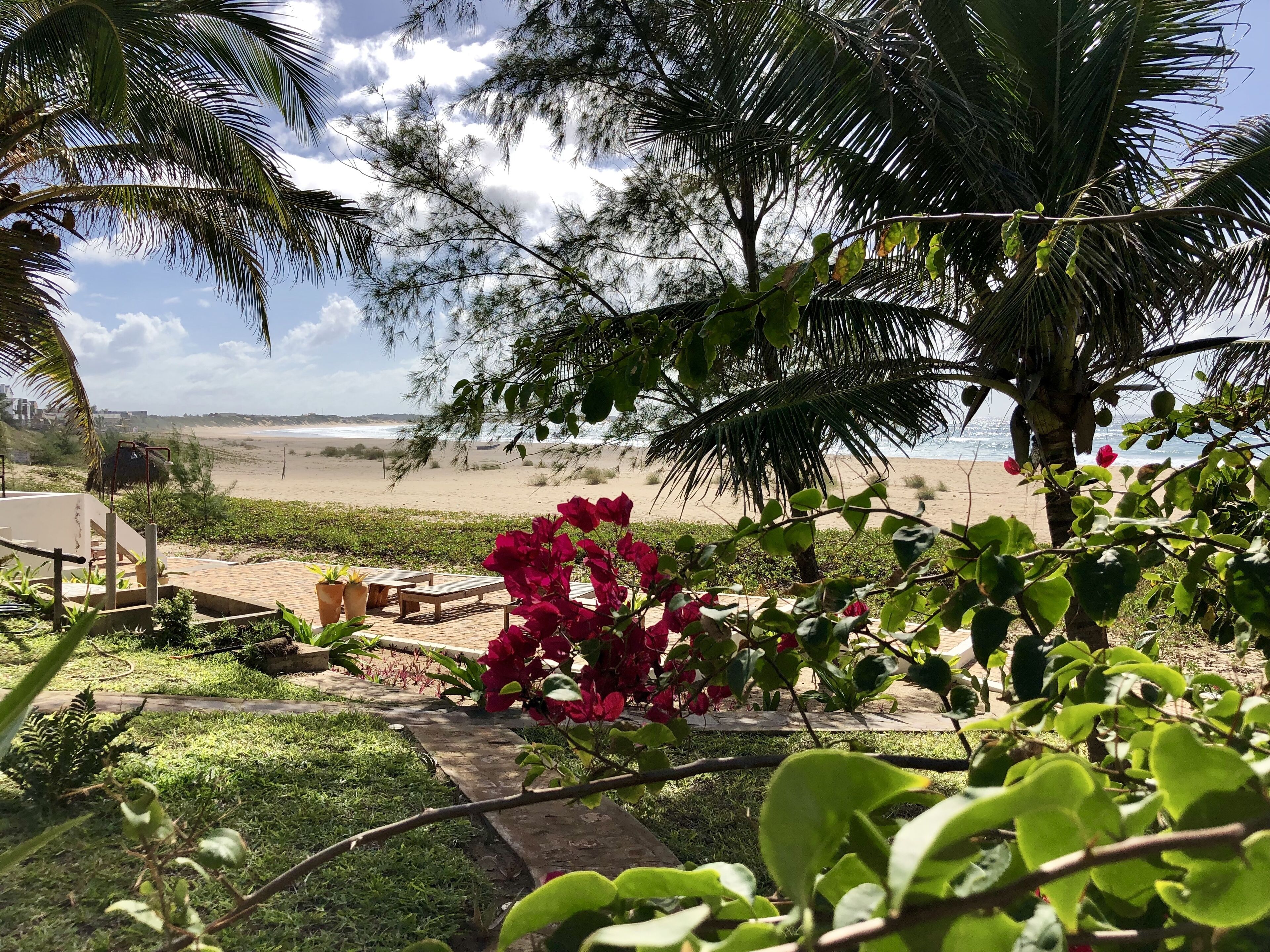 A garden with a view of a beach, including a wooden bench and potted plants.