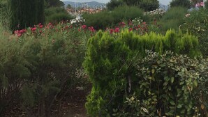 A garden with various plants and flowers, a tall tree, and a distant view of buildings.
