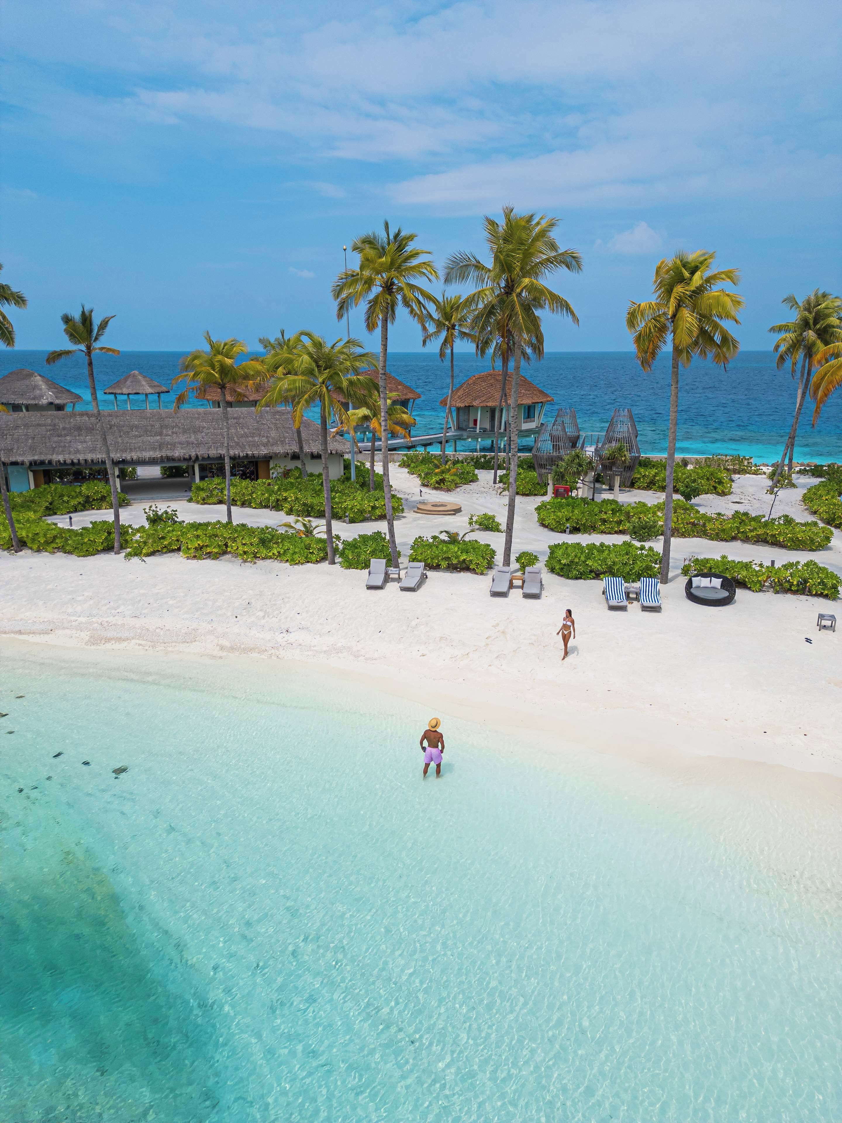 A beach resort with clear turquoise waters, palm trees, and overwater bungalows.