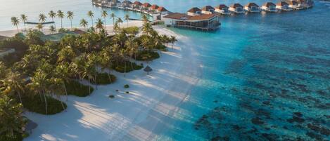 Un resort sobre el agua con varias cabañas conectadas por pasarelas, una playa de arena y palmeras.