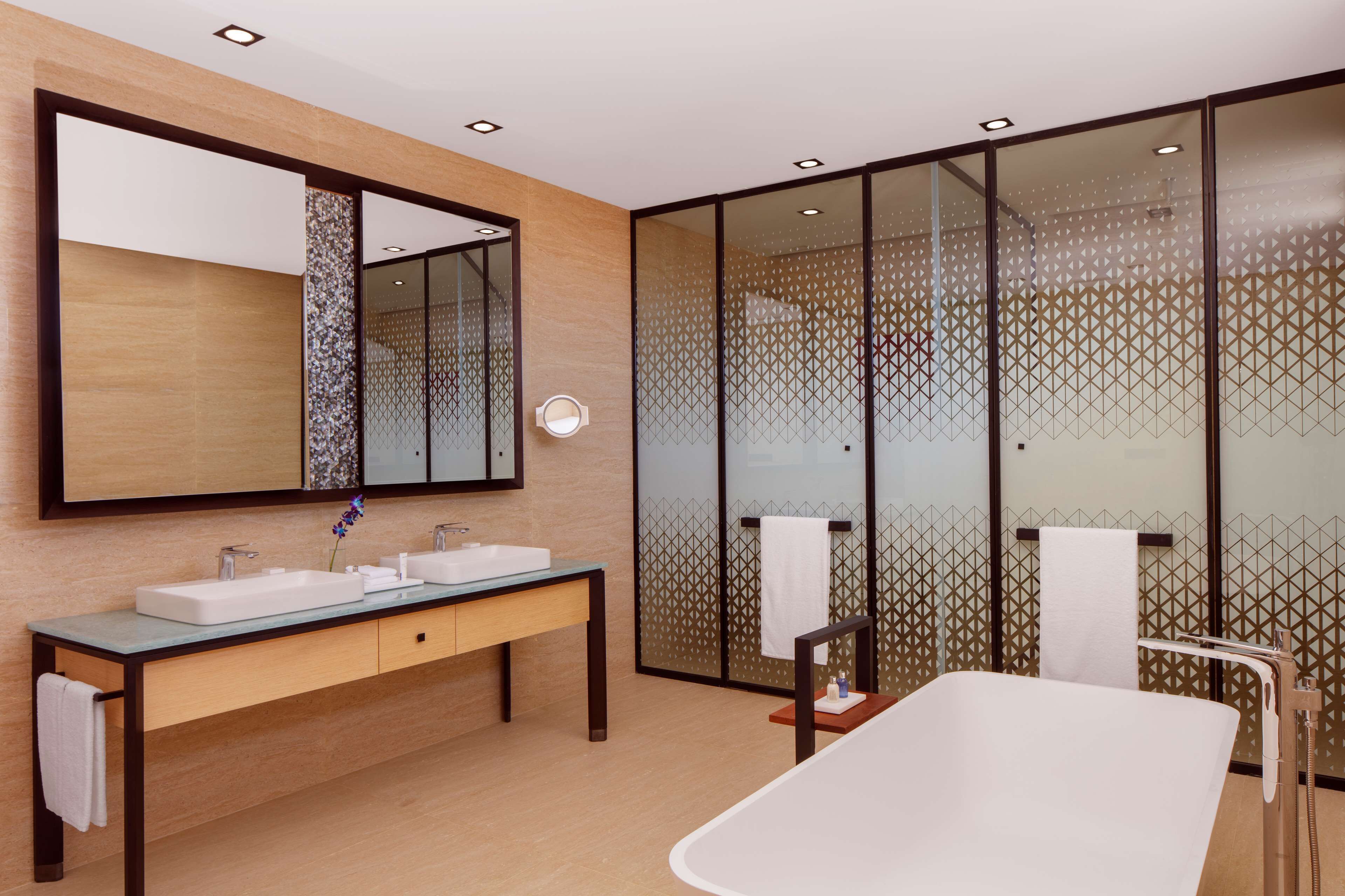 separate bathtub and shower, rainfall showerhead