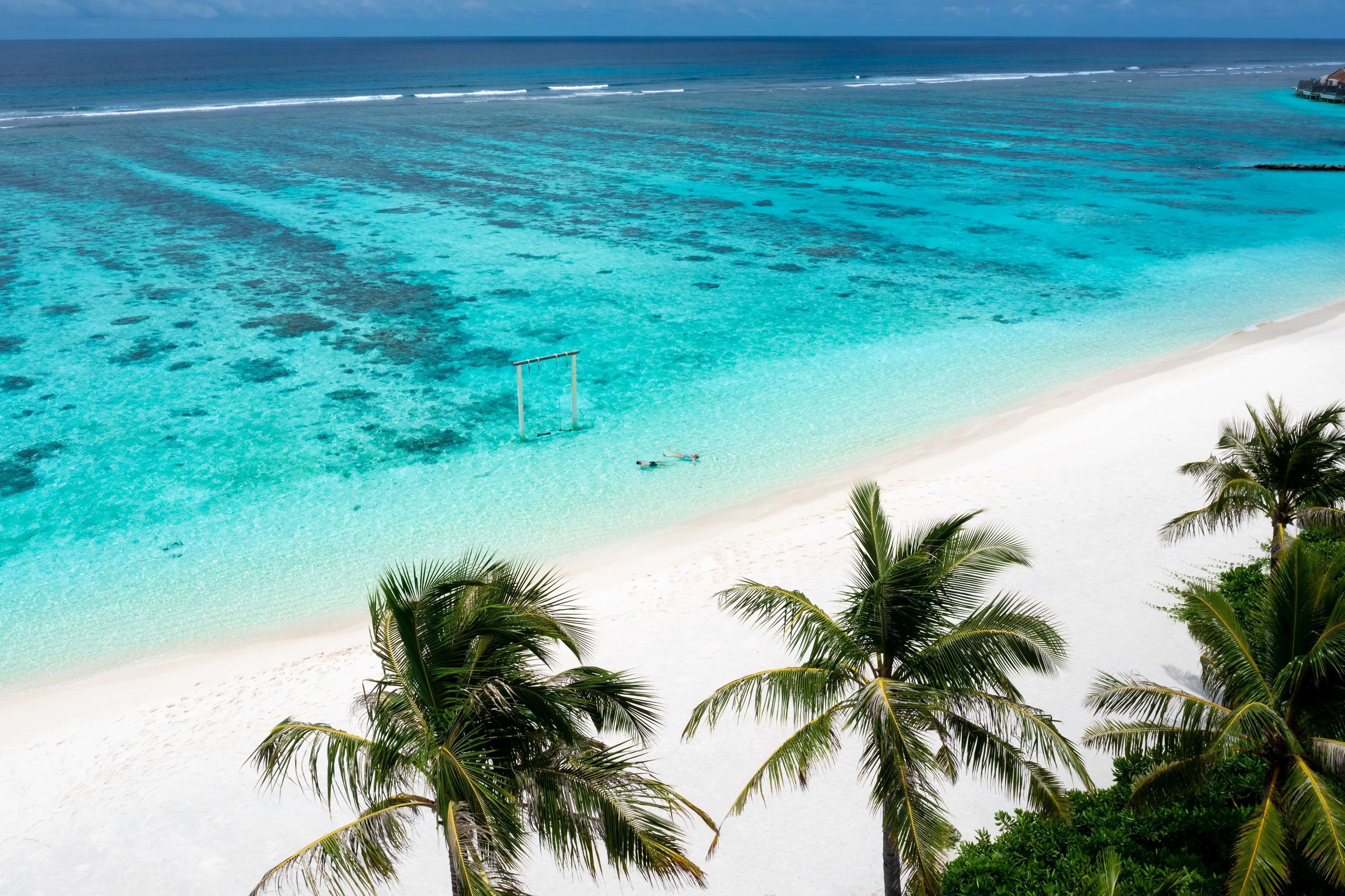 A beach with clear turquoise waters, white sand, and palm trees.