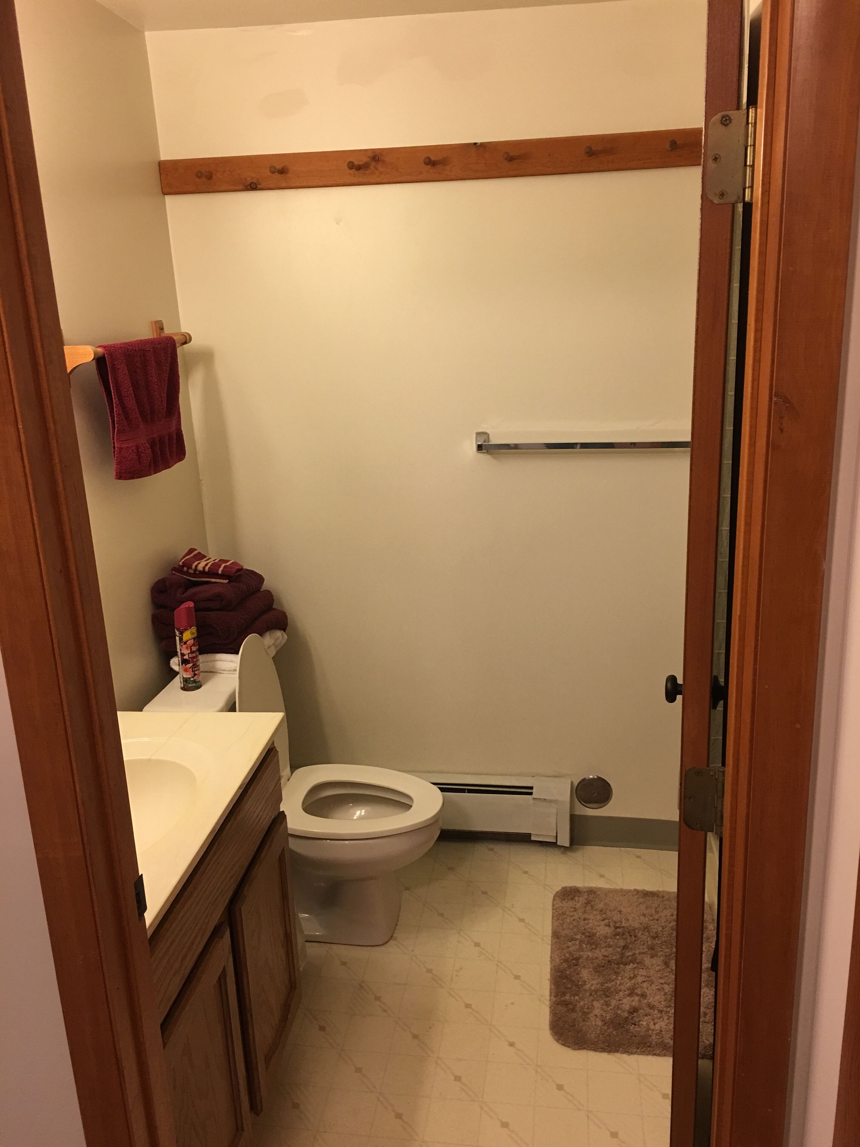 Een kleine badkamer met toilet, wastafel, handdoekhouder en douche.