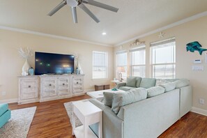 TV