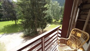 A balcony with a wicker chair, overlooking a grassy area with trees and a path. - MEADOWS Apartment (Ponte di Legno)