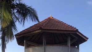 Un edificio pequeño de una sola planta con techo de tejas y dos puertas de madera, rodeado de macetas con plantas.