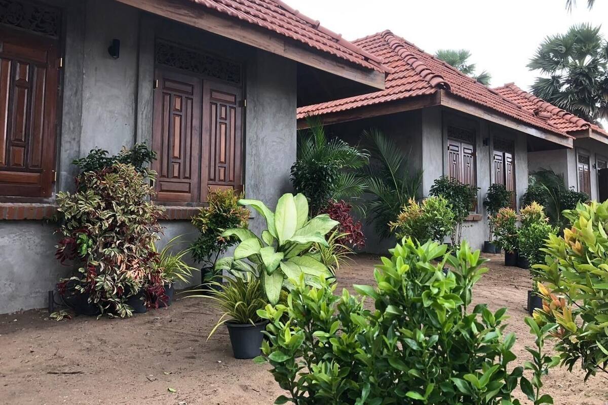 A row of houses with tiled roofs and wooden doors, surrounded by potted plants and greenery.