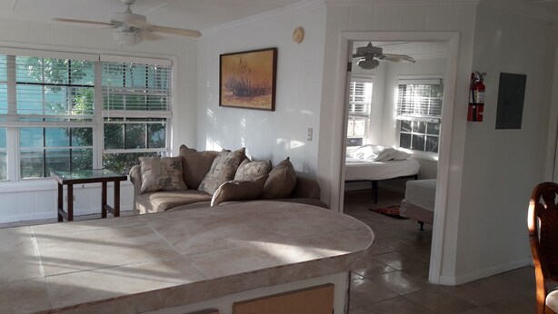 A spacious living area with a large window, a sofa with patterned cushions, a dining table, and a kitchen area visible through an open doorway. - PARADISE CREEK COTTAGES ON THE BEACH. (Andros Town)