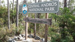 A sign for Central Andes National Park with a logo and text. - PARADISE CREEK COTTAGES ON THE BEACH. (Andros Town)