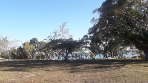 A grassy field with trees and a body of water in the background. - PARADISE CREEK COTTAGES ON THE BEACH. (Andros Town)