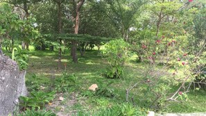 Exterior - Kaswanga Farm Holiday Home (Chisamba)