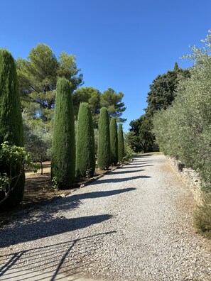 Un chemin de gravier bordé de haies d’arbres à feuilles persistantes, taillées avec soin, et d’un mur de pierres.