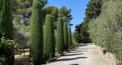 house with peaceful pool, south Luberon, between vineyards and olive trees
