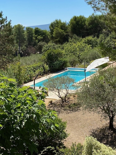 house with peaceful pool, south Luberon, between vineyards and olive trees