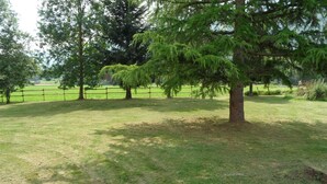 A grassy field with trees and a fence.