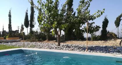 IVY Seaview Apartment