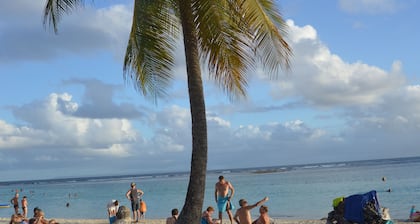 Sainte Anne ,Village CaraĂŻbes ,"LES TAMAYAS"Apt T2 jardins vue mer