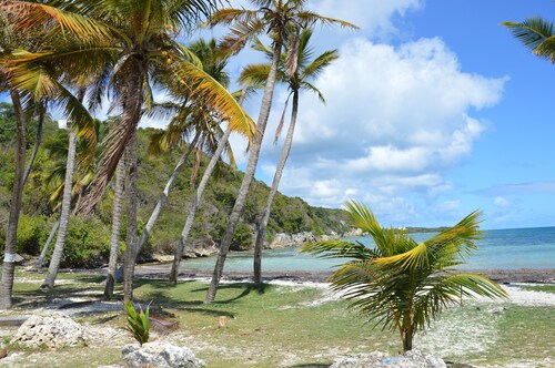 Sainte Anne ,Village Caraïbes ,"LES TAMAYAS"Apt T2 jardins vue mer