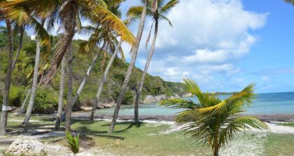 Sainte Anne ,Village CaraĂŻbes ,"LES TAMAYAS"Apt T2 jardins vue mer