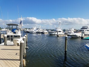 Enjoy boating and waterfront activities from this marina with various yachts available for rent.