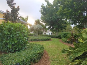 Een verzorgde tuin met diverse struiken en een duidelijk pad.