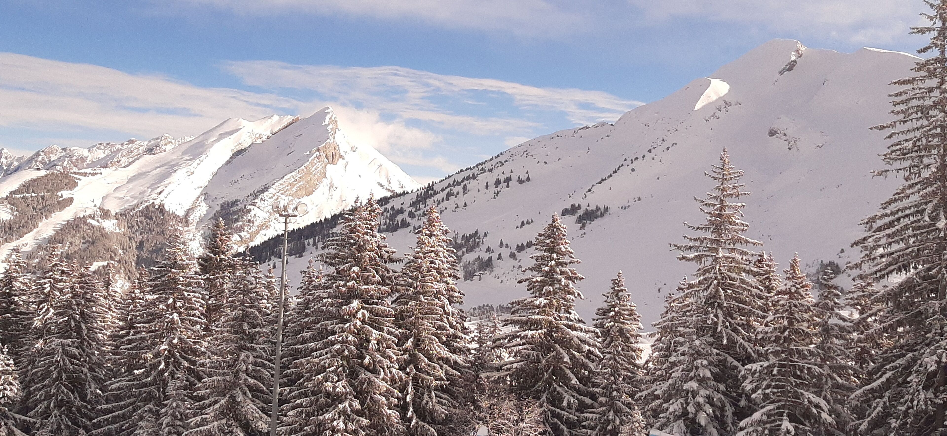 Paisagem montanhosa com árvores cobertas de neve e céu limpo.
