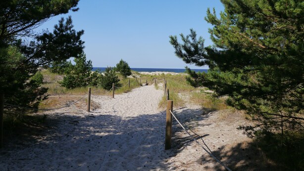 A sandy beach path with wooden posts and ropes, surrounded by pine trees, leading to the ocean. - 3 room apartment with terrace, 450m from the sandy beach, close to the nature park, garden (Rowy)
