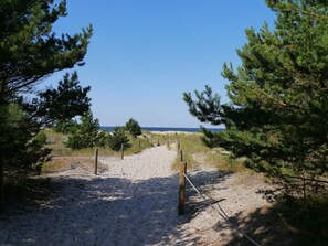 A sandy beach path with wooden posts and ropes, surrounded by pine trees, leading to the ocean. - 3 room apartment with terrace, 450m from the sandy beach, close to the nature park, garden (Rowy)