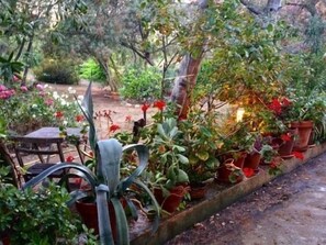 Property grounds - Studio & large garden 200m Calvi beach (Calvi)