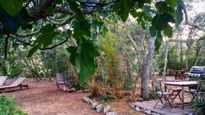 A garden area with a wooden deck, seating, and a table. - Studio & large garden 200m Calvi beach (Calvi)