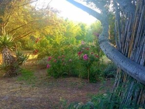 Property grounds - Studio & large garden 200m Calvi beach (Calvi)