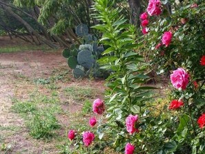 En trädgård med rosa blommor och grönt lövverk.