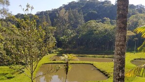 A lush landscape with a pond, trees, and a hill in the background. - Six lakes site in the Juquitiba region (Dos Barnabés)