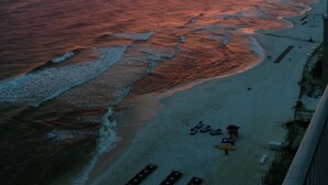 A beach view with waves, a sunset, and a pier.