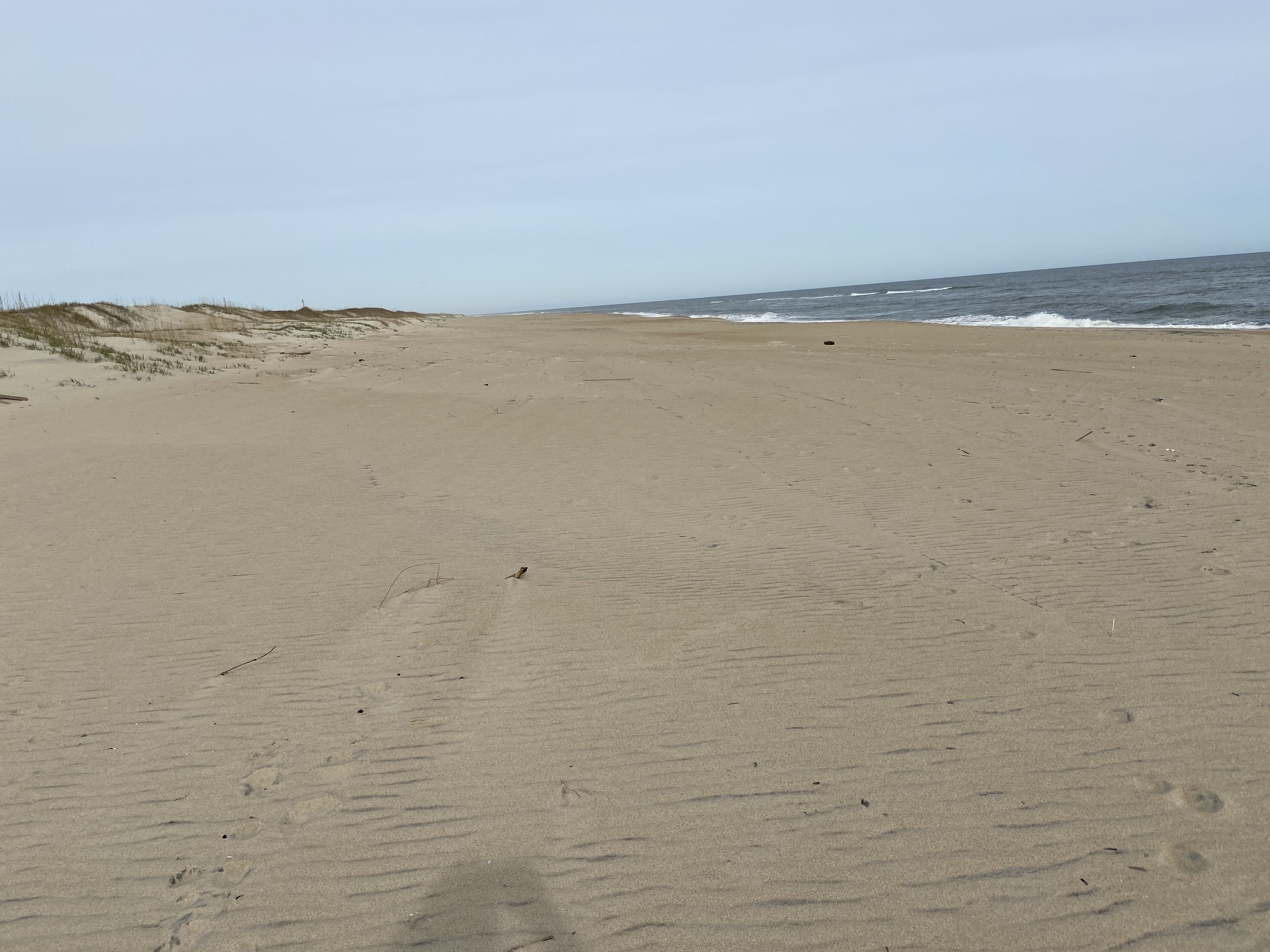 A sandy beach with footprints and sparse vegetation.