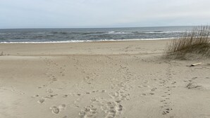 A sandy beach with footprints leading towards the ocean. - Family Affair oceanfront private pool Pet Friendly  (Salvo)
